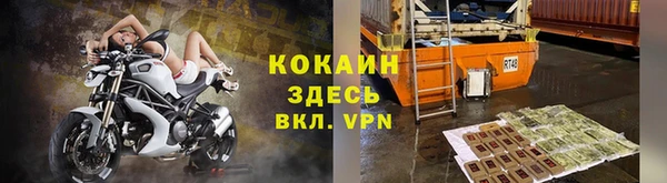 каннабис Дмитриев