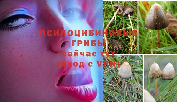 герыч Дмитров